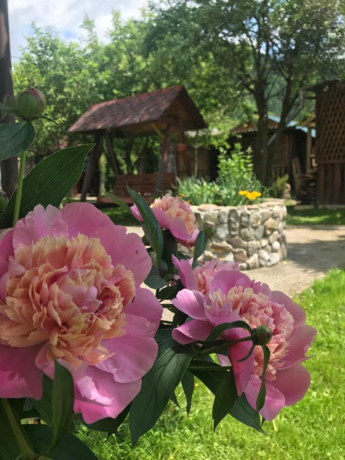 Садиба Диво Квітка Tatariv Kültér fotó